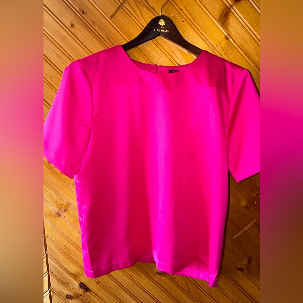 HOT PINK Ann Taylor silky short sleeve small